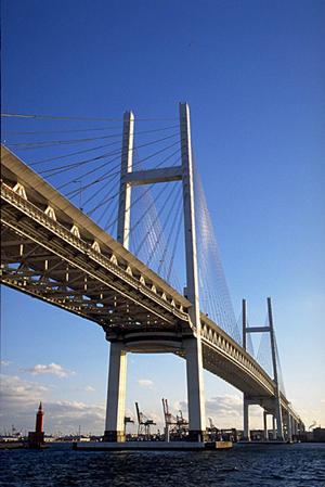 Tポイントをプラスしたメンバーズカード