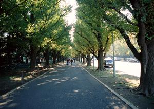 稲沢市の車検で意外と見落としがちな事