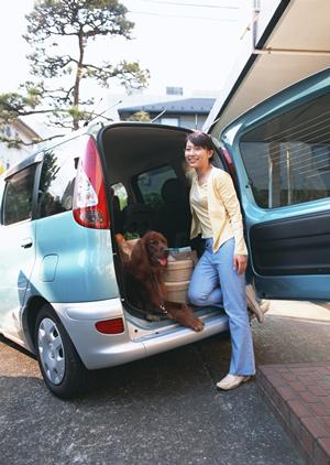 車検期間中のサポートも万全だから安心